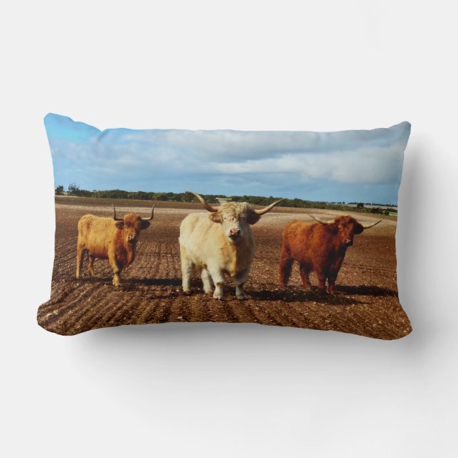 Drie stoute Hooglanders, Kussen (Voorkant)