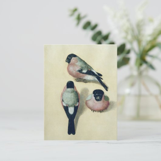 Drie studies van een vinnige briefkaart (Staand voorkant)