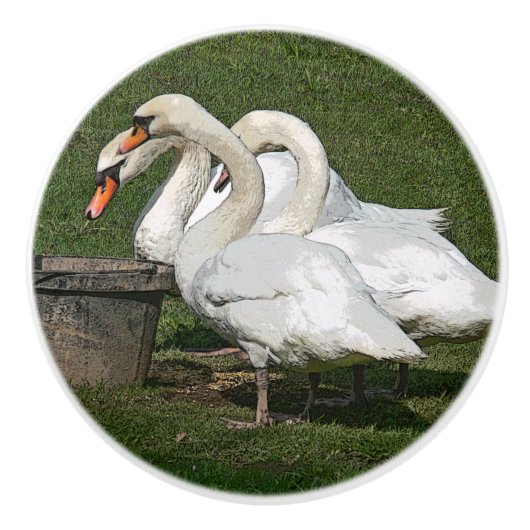 DRIE SWANS/PHOTOG.WITH DIGITALE EFFECTEN KERAMISCHE KNOP (Voorkant)