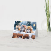 Drie Tabby Katten Spelen in Sneeuw Blank Kerstmis Kaart (Voorkant)