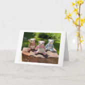 Drie Teddies Kaart (Gele Bloem)