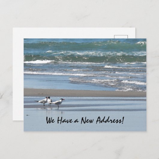 Drie Termen op een Beach Briefkaart (Voorkant / Achterkant)