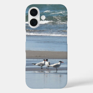 Drie Terns op het strand iPhone 16 Hoesje