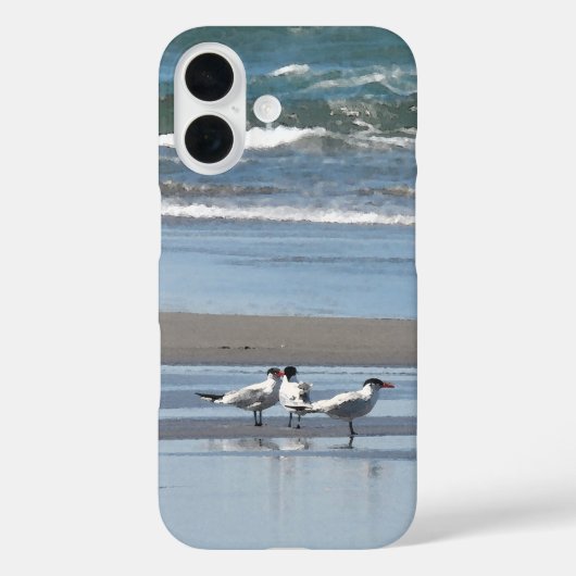Drie Terns op het strand Case-Mate iPhone Case (Achterkant)