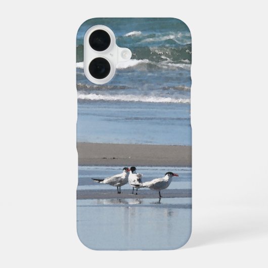 Drie Terns op het strand iPhone 16 Hoesje (Achterkant)