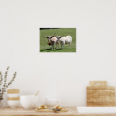 Drie Texas Longhorns Poster (Keuken)