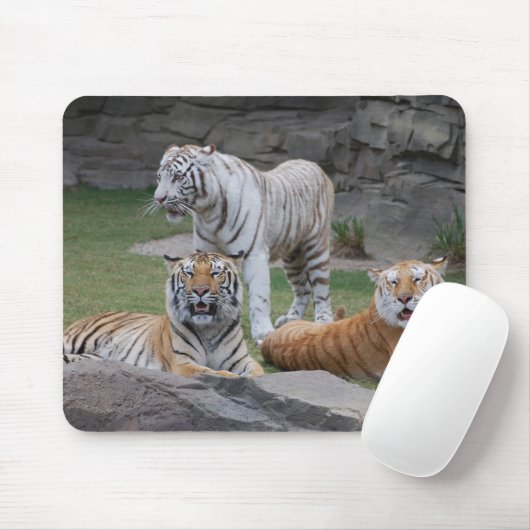 Drie Tigers Muismat (Met muis)