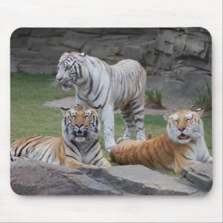 Drie Tigers Muismat