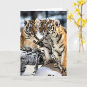 Drie tijger kubussen in sneeuwkunst kaart (Gele Bloem)