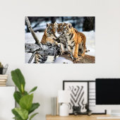 Drie tijger kubussen in sneeuwkunst poster (Thuiskantoor)