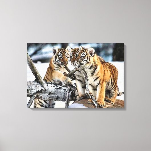Drie tijgerkubussen spelen canvas afdruk (Voorkant)