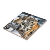 Drie tijgerkubussen spelen tegeltje (Zijkant)