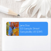 Drie tinten kleurrijke Herfst esdoorn bomen Etiket (Insitu)