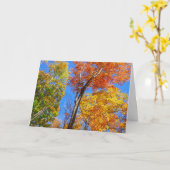 Drie tinten kleurrijke Herfst esdoorn bomen Kaart (Gele Bloem)