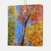 Drie tinten kleurrijke Herfst esdoorn bomen Keramisch Ornament (Links)