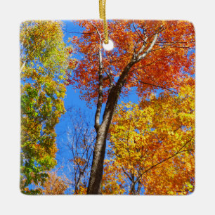 Drie tinten kleurrijke Herfst esdoorn bomen Keramisch Ornament