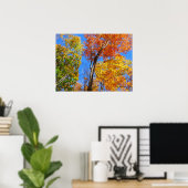 Drie tinten kleurrijke Herfst esdoorn bomen Poster (Thuiskantoor)