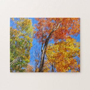 Drie tinten kleurrijke herfst esdoornbomen legpuzzel
