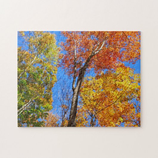 Drie tinten kleurrijke herfst esdoornbomen legpuzzel (Horizontaal)
