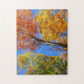 Drie tinten kleurrijke herfst esdoornbomen legpuzzel (Verticaal)