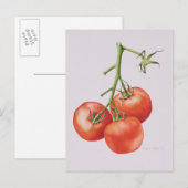 Drie tomaten op de wijnstok 1997 briefkaart (Voorkant / Achterkant)