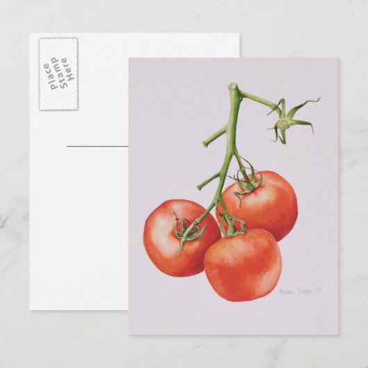 Drie tomaten op de wijnstok 1997 briefkaart (Voorkant / Achterkant)