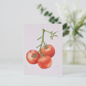 Drie tomaten op de wijnstok 1997 briefkaart (Staand voorkant)