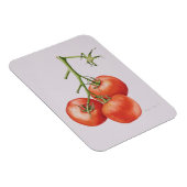 Drie tomaten op de wijnstok 1997 magneet (Rechterzijde)