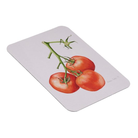 Drie tomaten op de wijnstok 1997 magneet (Rechterzijde)
