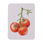 Drie tomaten op de wijnstok 1997 magneet (Verticaal)