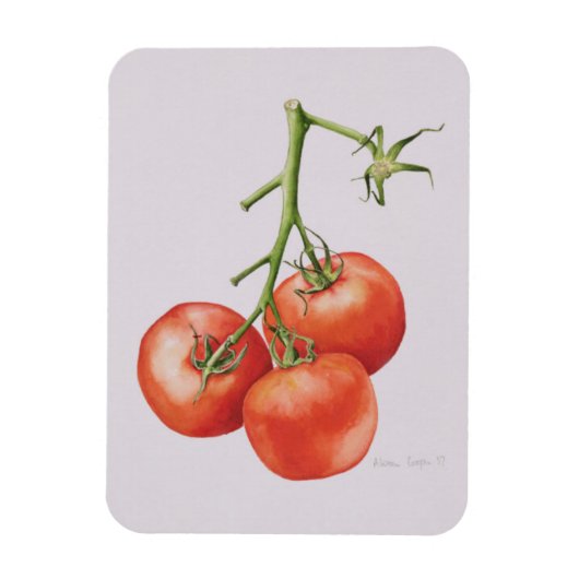 Drie tomaten op de wijnstok 1997 magneet (Verticaal)