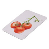 Drie tomaten op de wijnstok 1997 magneet (Linkerzijde)