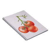 Drie tomaten op de wijnstok 1997 notitieboek (Rechterzijde)