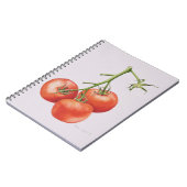 Drie tomaten op de wijnstok 1997 notitieboek (Linkerzijde)
