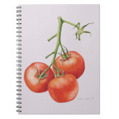 Drie tomaten op de wijnstok 1997 notitieboek (Voorkant)