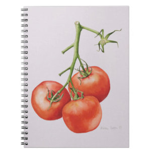 Drie tomaten op de wijnstok 1997 notitieboek