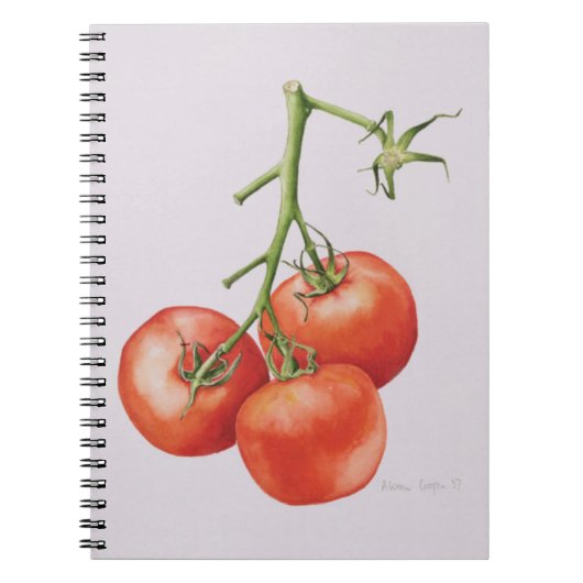 Drie tomaten op de wijnstok 1997 notitieboek (Voorkant)