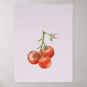 Drie tomaten op de wijnstok 1997 poster (Voorkant)