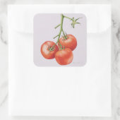 Drie tomaten op de wijnstok 1997 vierkante sticker (Tas)