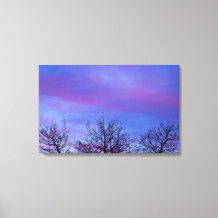 Drie Topjes Canvas Afdruk