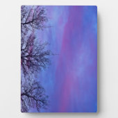 Drie Topjes Fotoplaat (voorkant)