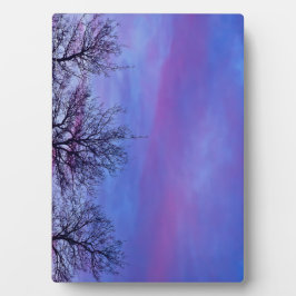 Drie Topjes Fotoplaat