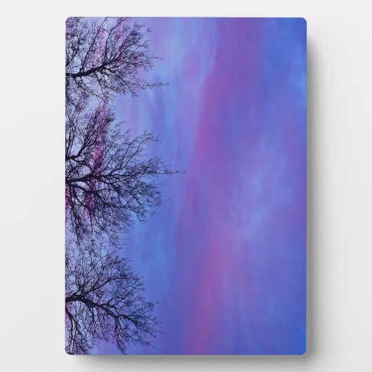 Drie Topjes Fotoplaat (voorkant)