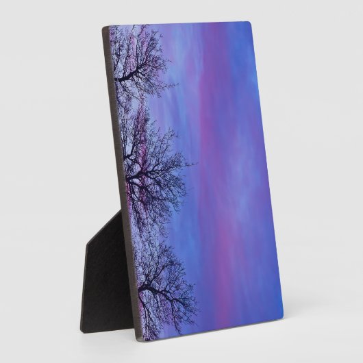 Drie Topjes Fotoplaat (Zijkant)