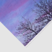 Drie Topjes Tissuepapier (Detail)