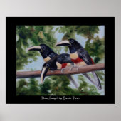 Drie Toucan-Posters afdrukken van Amigo Poster (Voorkant)