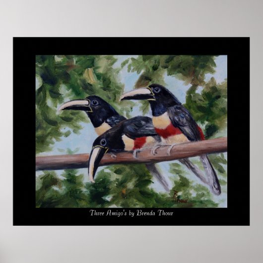 Drie Toucan-Posters afdrukken van Amigo Poster (Voorkant)