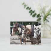 Drie Trekpaarden Bedankt Briefkaart (Staand voorkant)
