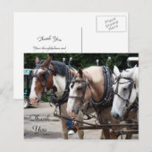Drie Trekpaarden Bedankt Briefkaart (Voorkant / Achterkant)