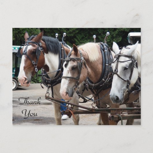 Drie Trekpaarden Bedankt Briefkaart (Voorkant)